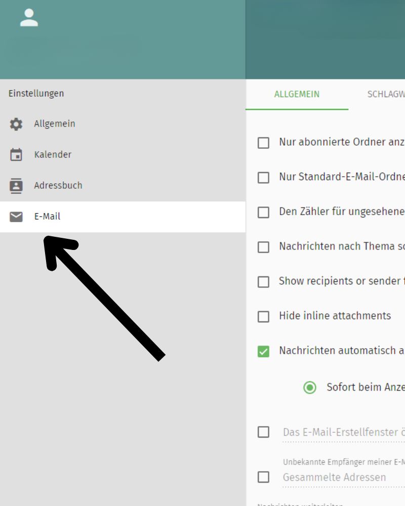 Der schwarze Pfeil zeigt auf den Reiter Email.